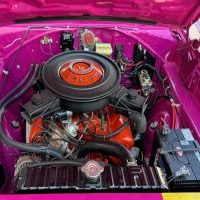 Dodge morda