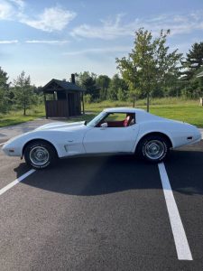 Vette